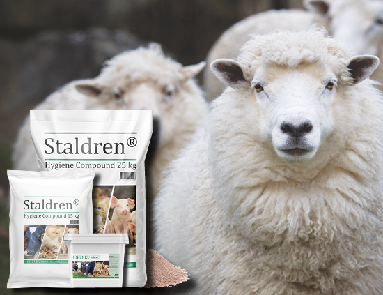 Staldren® for sheep and goats