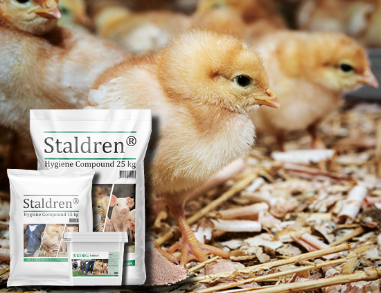 Staldren® for poultry