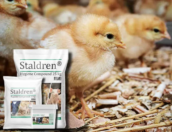 Bird flu sees increase in demand for Danish disinfection products
