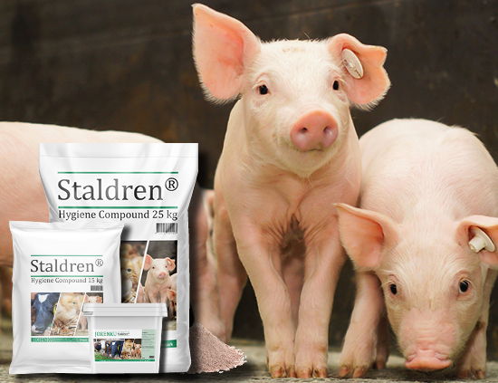 Staldren® for pigs