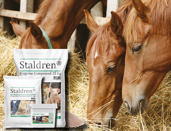 Staldren® for horses