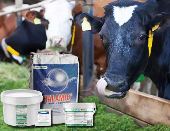 Halamid® for cattle