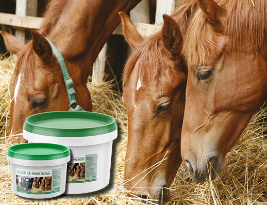 Mineral Lick Summer Dry Green for Horses