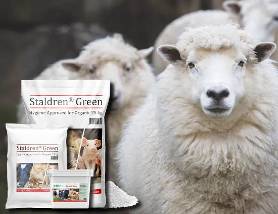 Staldren® Green for sheep
